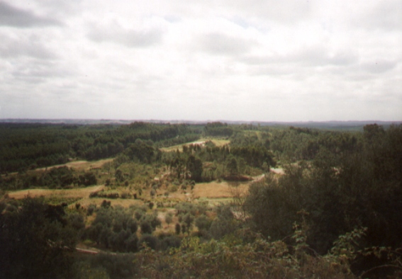 Aussicht8