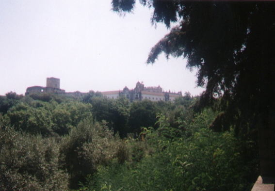 Tomar7