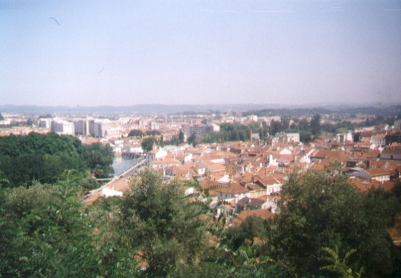 Tomar8
